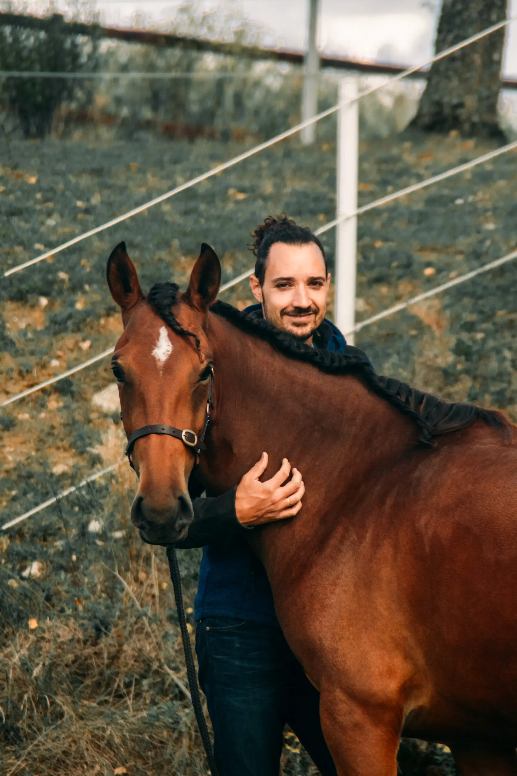 Rencontre entre l'homme et le cheval Barbe à l'élevage de Groboz