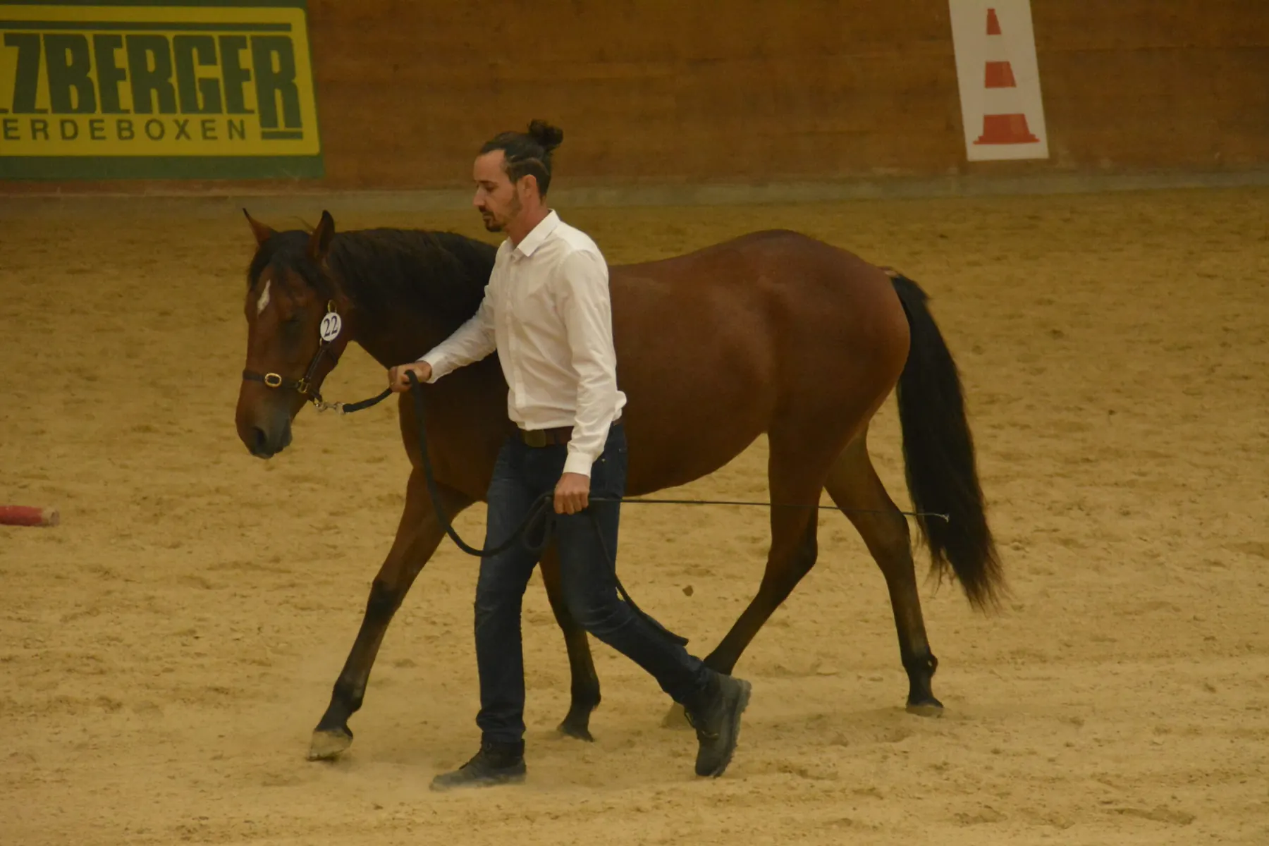 Championnat d'Europe du cheval Barbe 2024 à Mooslargue, Alsace
